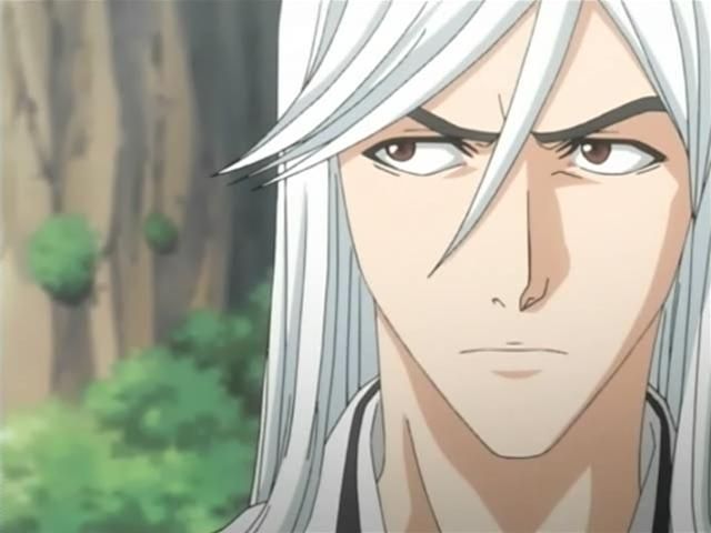 Otaku Gallery  / Anime e Manga / Bleach / Screen Shots / Episodi / 097 - Hitsugaya si muove - Taglia il nemico nella foresta / 046.jpg